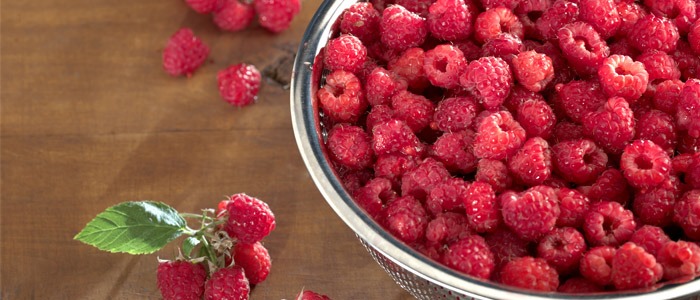 Do Raspberry Ketones Work?
